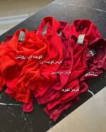 شومیز مدل راشین کد 1551 - Image 5